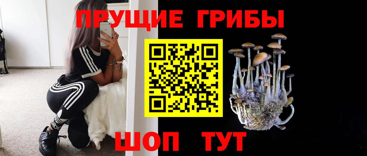 Псилоцибиновые грибы Psilocybe Михайловск